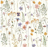 Cartes Blanches - Lot de 8 - Fleurs des Champs