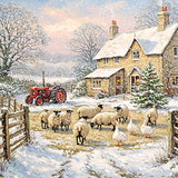 Christmas Cards - 10 Cards - Christmas Farm Animals